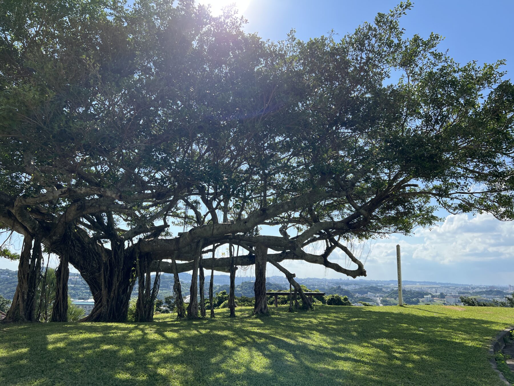 San Luis Obispo Tribune Recent Obituaries