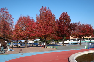 【話題】 加須 は な さき 公園 経歴＆学歴まとめ 2026 #897