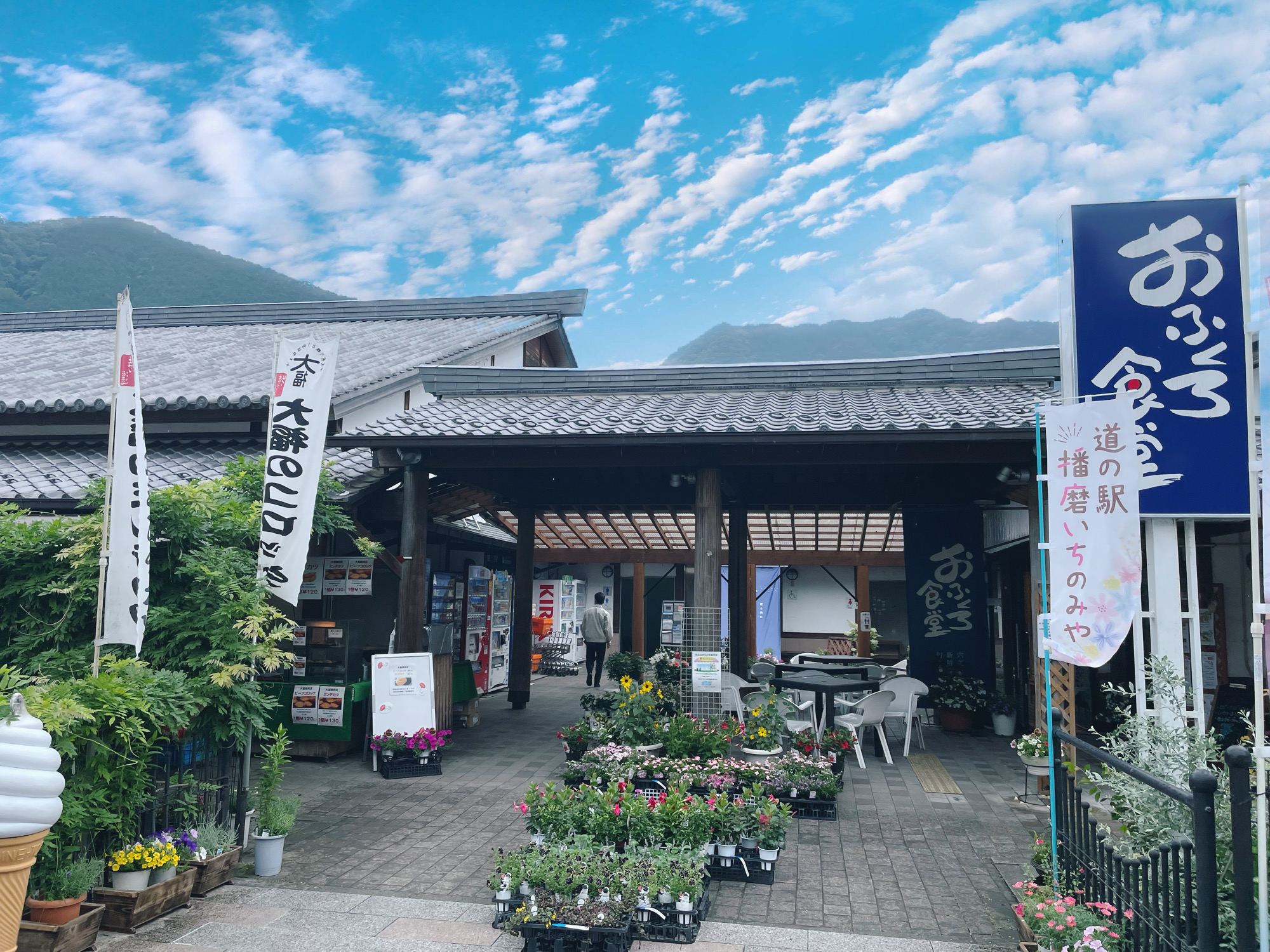 道の駅播磨いちのみや完全攻略！絶品自然薯ランチと伊和神社の魅力
