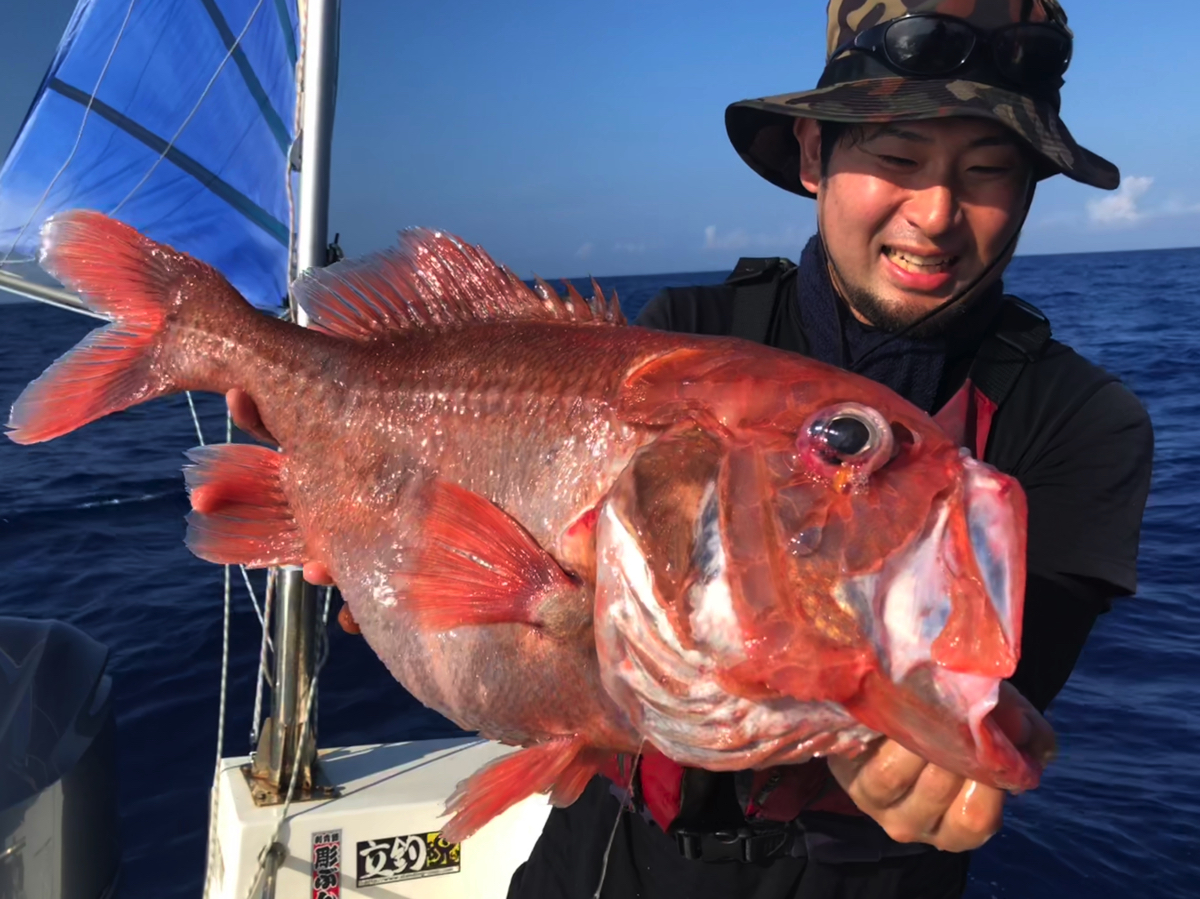 【2026年解体新書】「生物を食べる」怪魚ハンター・平坂寛が突っ走る、泥臭くも愛おしい生態学の最前線
