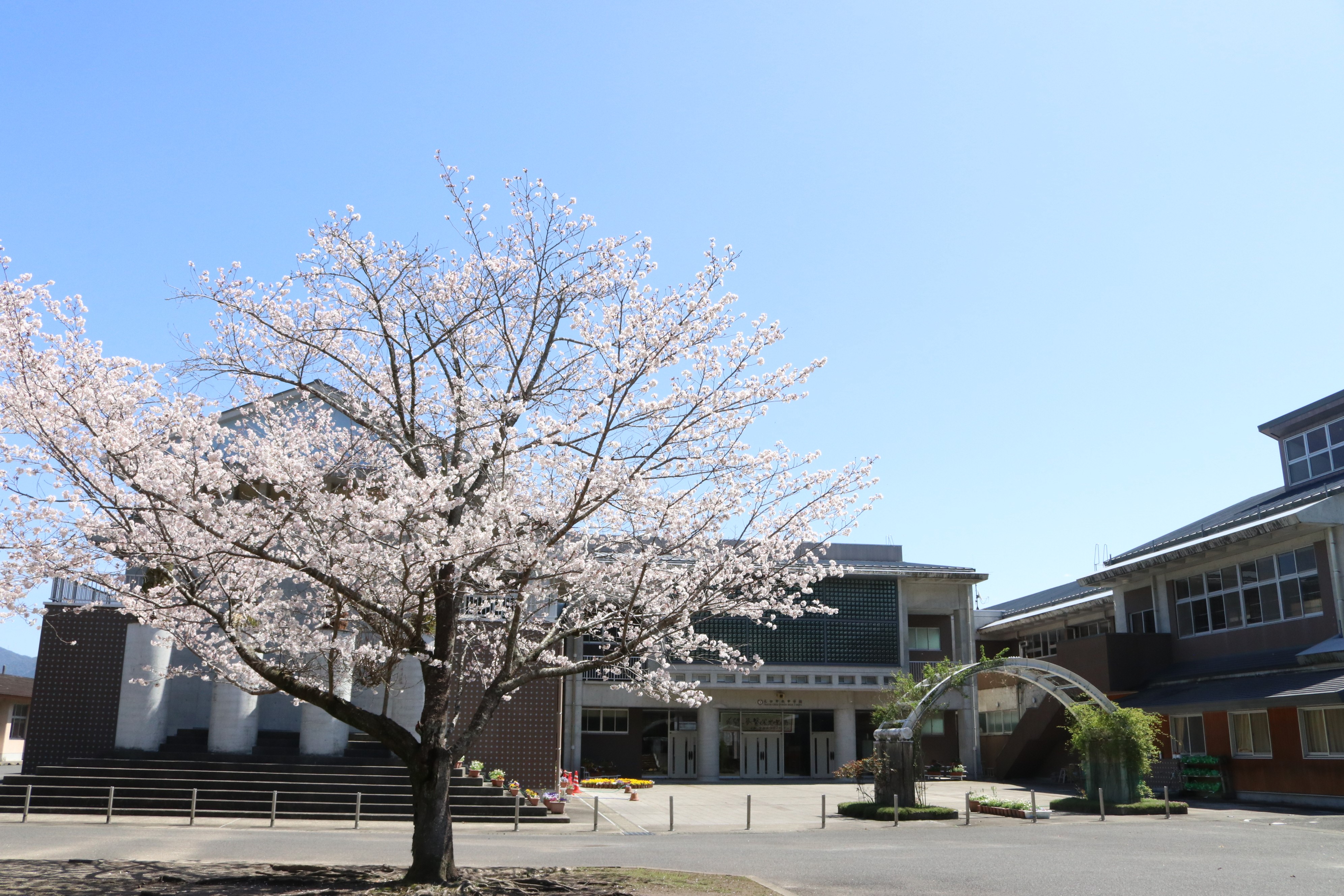変革期を迎える伝統校！大口中央中学校の進学実績と部活動のリアル