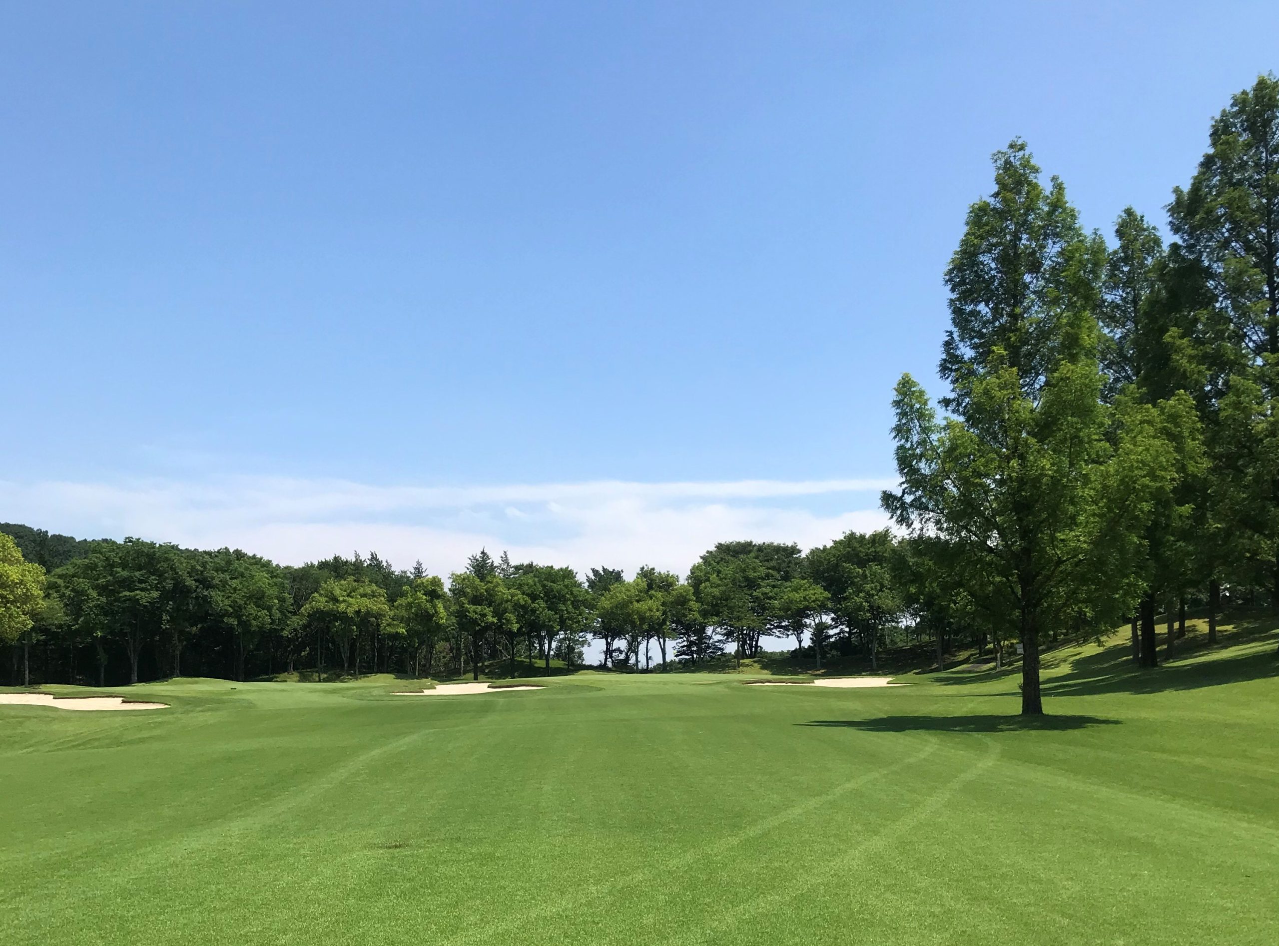 森林公園ゴルフ倶楽部の評判と難易度｜2026年最新料金と攻略の真相