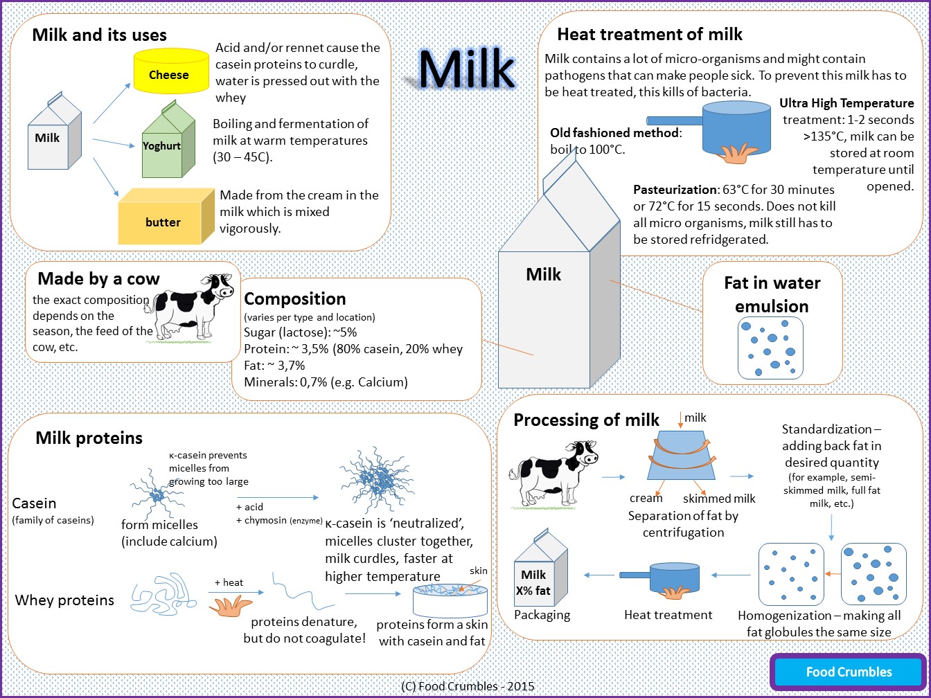 Where Does Cream Come From