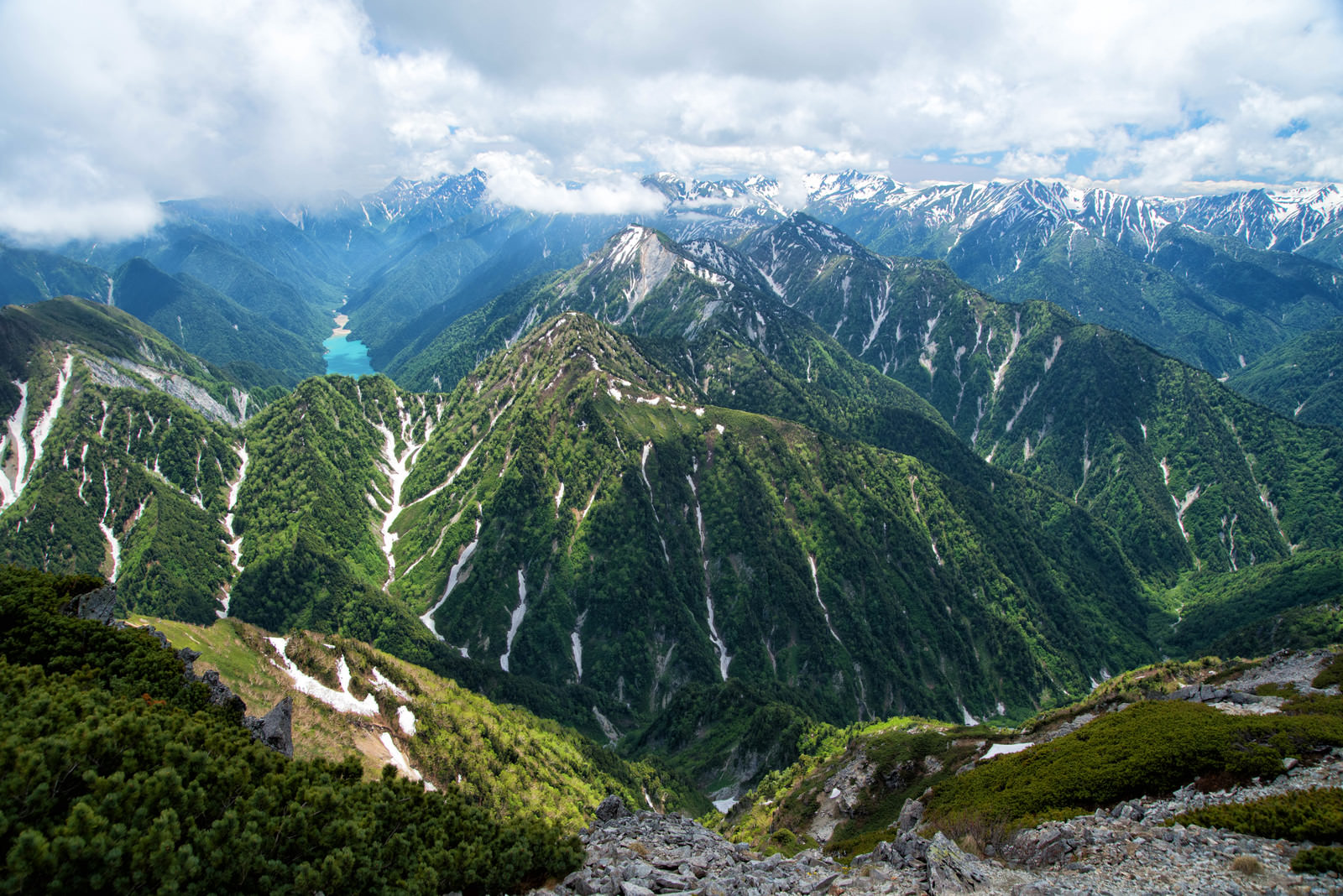 高山なおみブログの現在地｜神戸暮らしとスイセイとの別離、最新近況