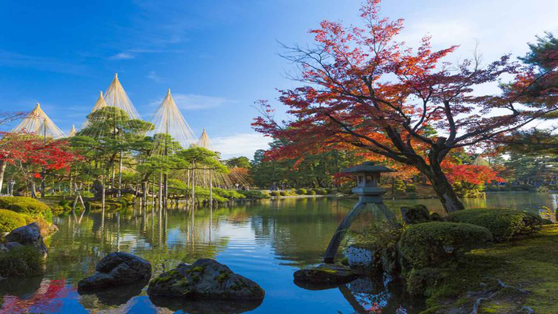 【2026年最新リポート】金沢「兼六園」が描く庭園文化の未来——オーバーツーリズムを超えた静寂の体験と、受け継がれる雪吊りの美学