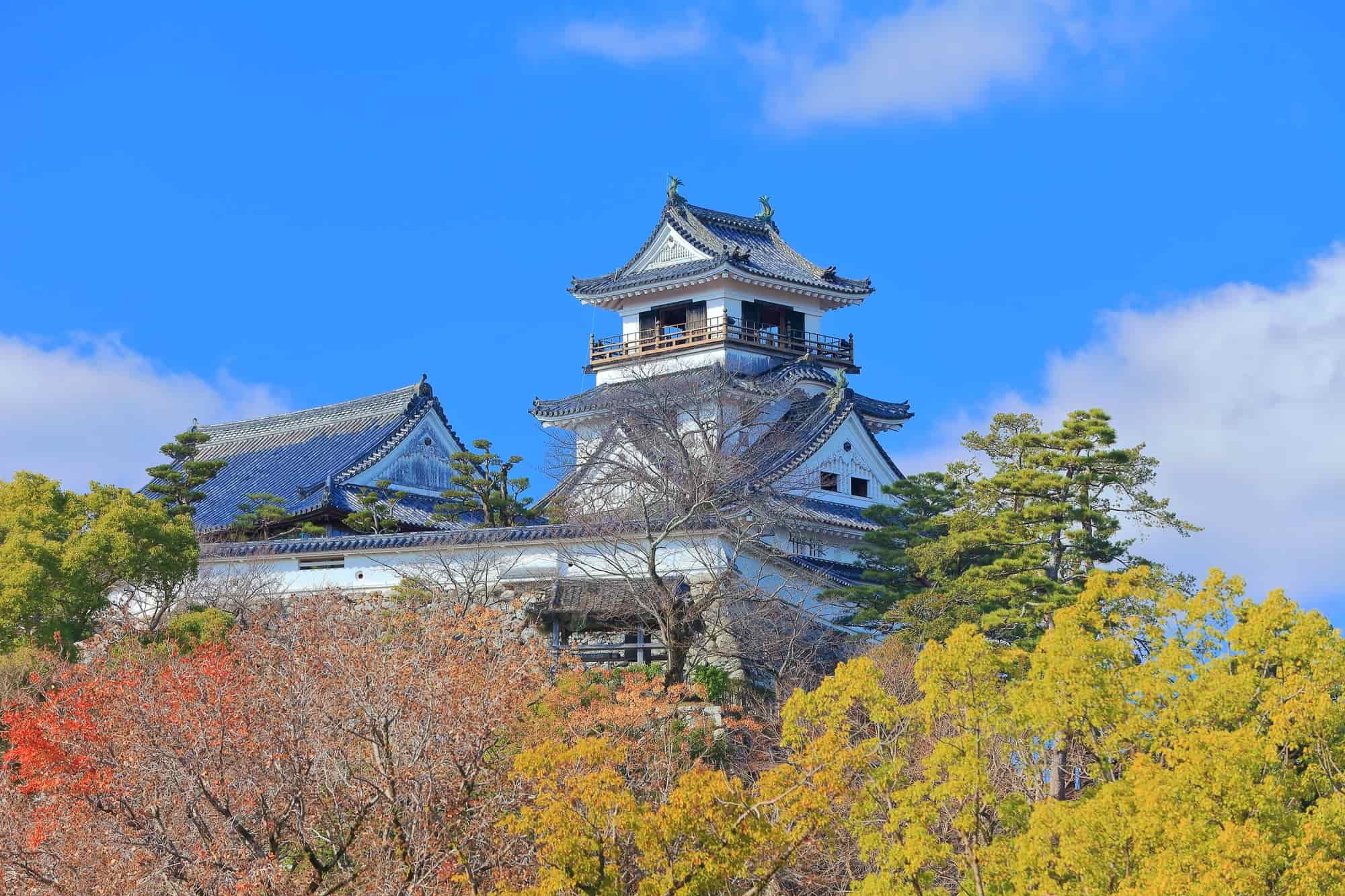 【2026最新現地ルポ】なぜ今「高知城」に世界が熱視線を送るのか？天守と本丸御殿が揃う“奇跡の城”の圧倒的リアリティ