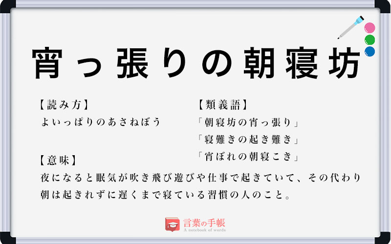 宵っ張りはどこの方言？実は江戸言葉？意味や由来・地域の違いを調査