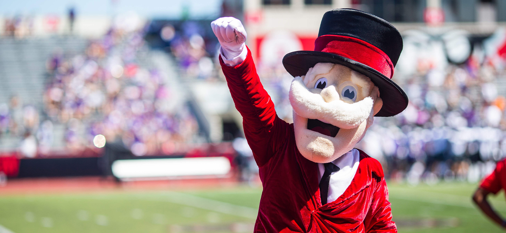 Harvard Mascot and Colors
