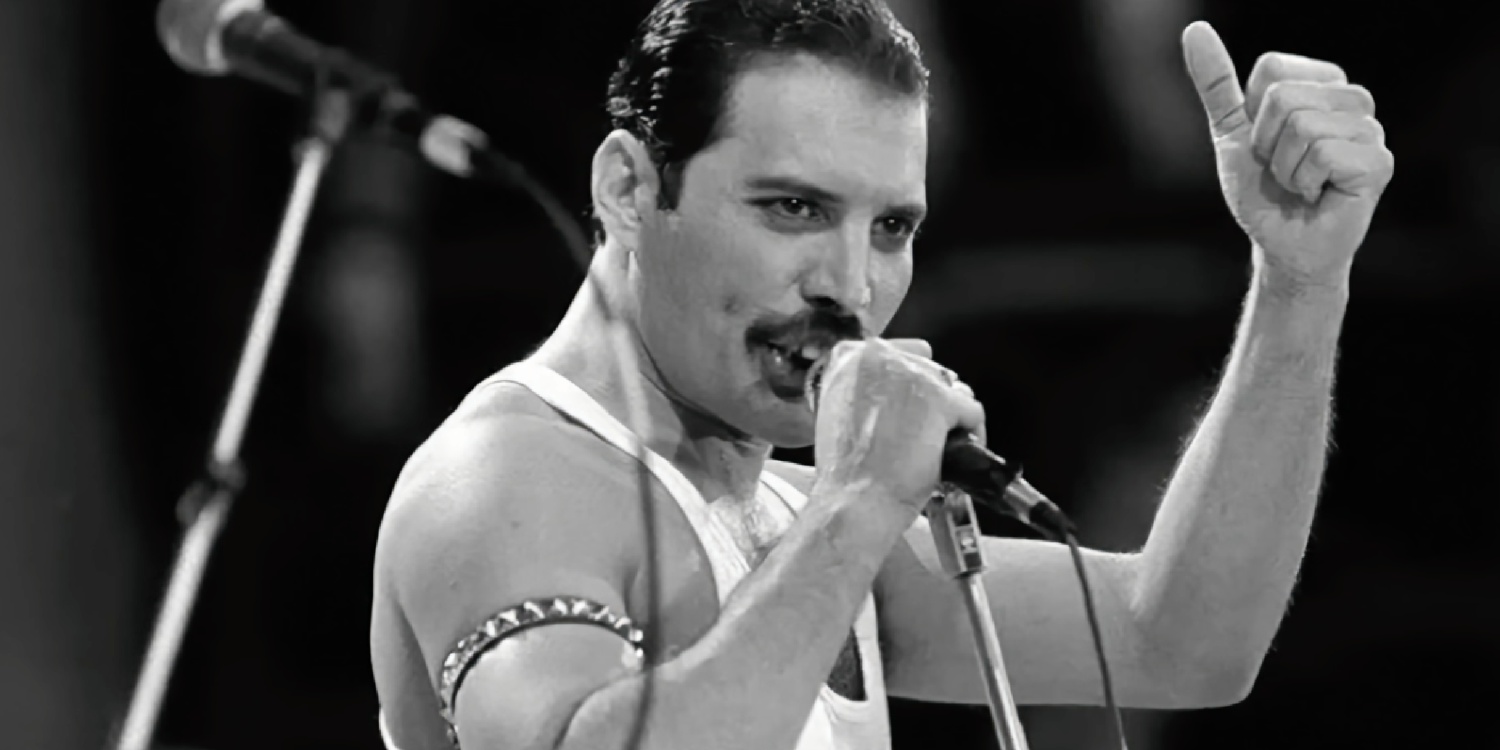 What Year Did Freddie Mercury Pass Away