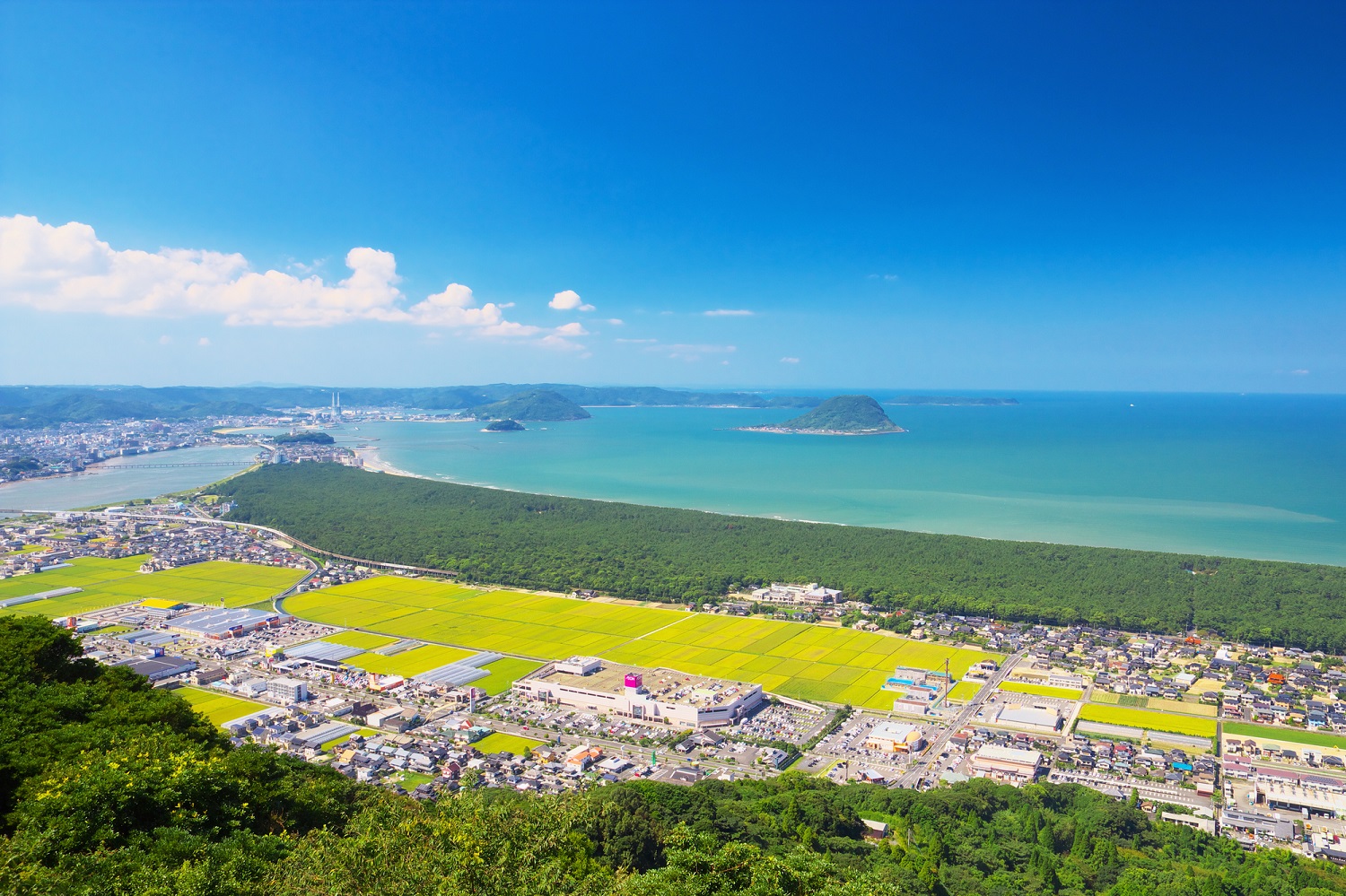 絶品関サバと幕末の歴史が息づく港町！佐賀関港の今を歩く徹底ガイド