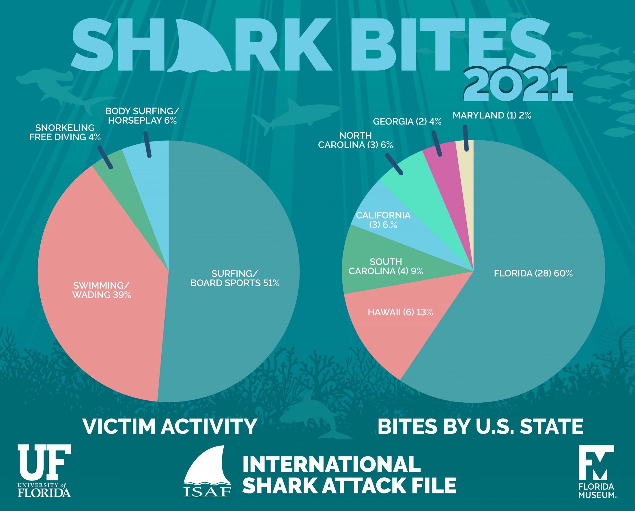 How Many People Have Been Eaten by a Shark