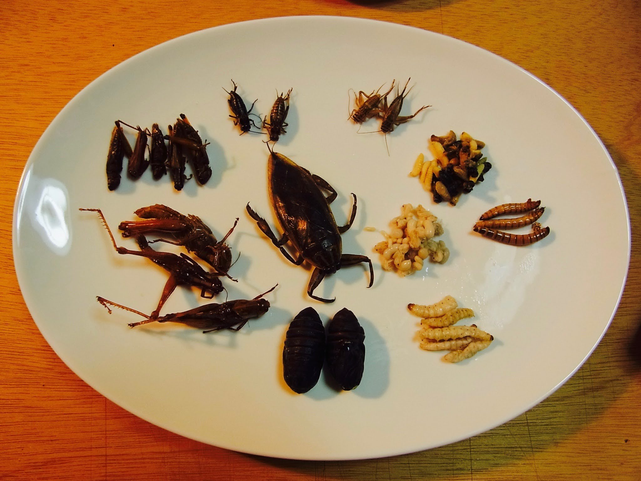 えっ、これが昆虫食！？概念が覆る絶品次世代グルメの驚愕世界
