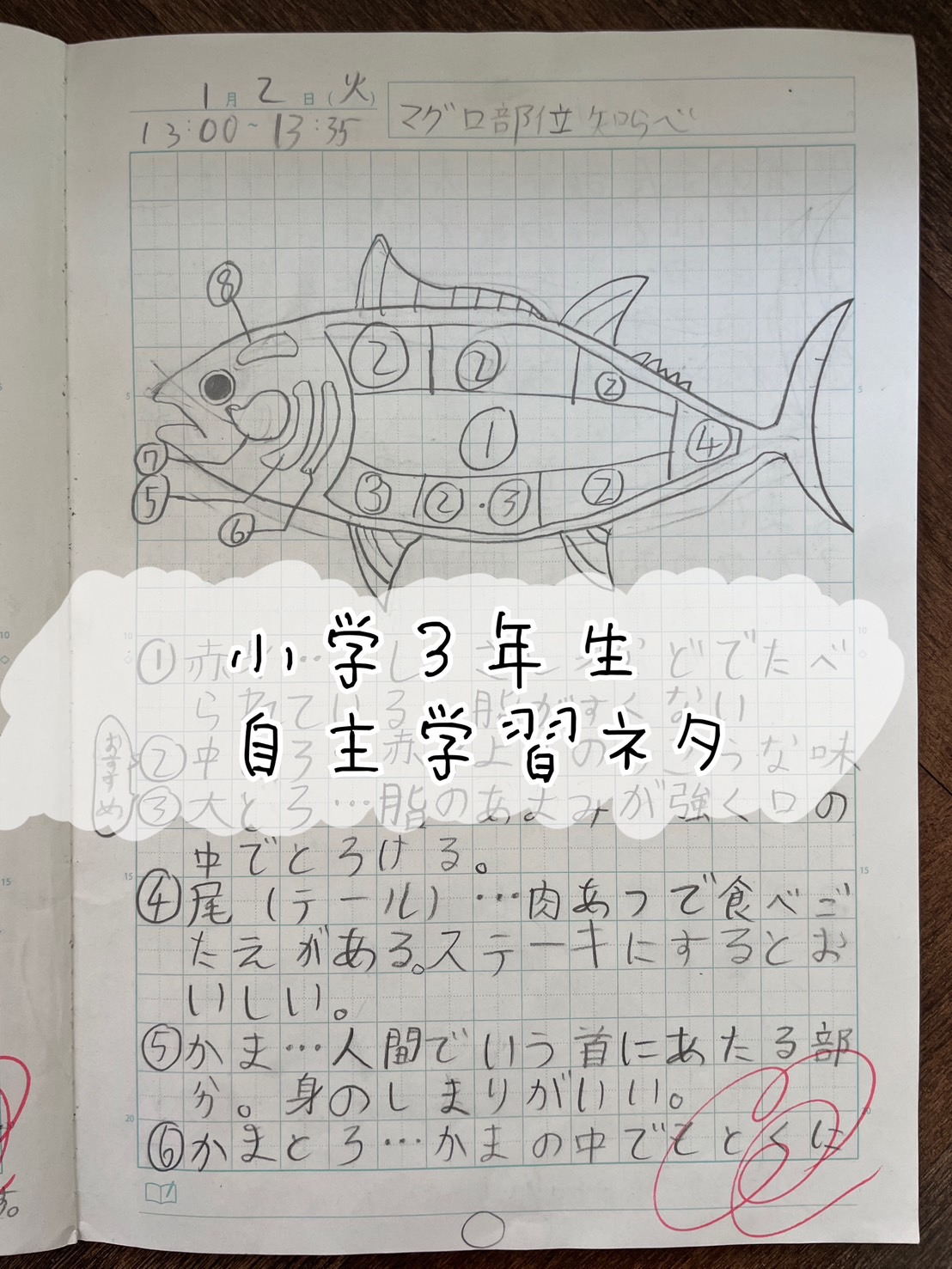 小3自主学習ネタ決定版！10分で先生が絶賛するノート術と具体例