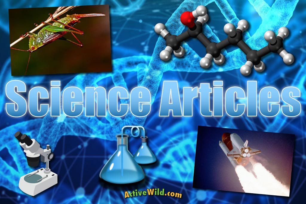 Science Student Articles