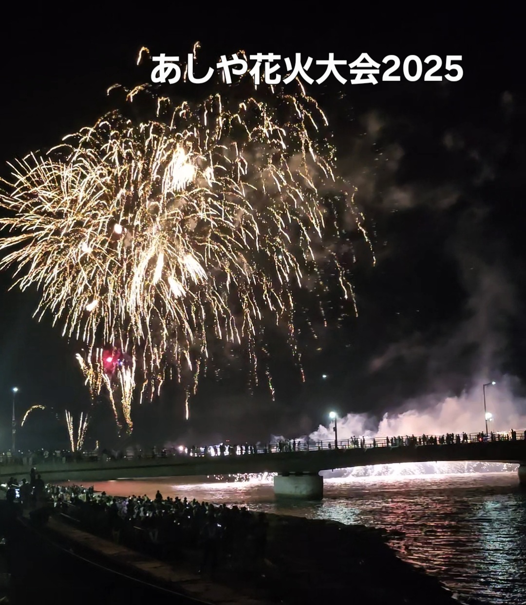 【2026年最新】あしや花火大会の夜空を染める大ナイアガラと感動の競演！混雑回避・有料席・穴場スポット完全徹底解説