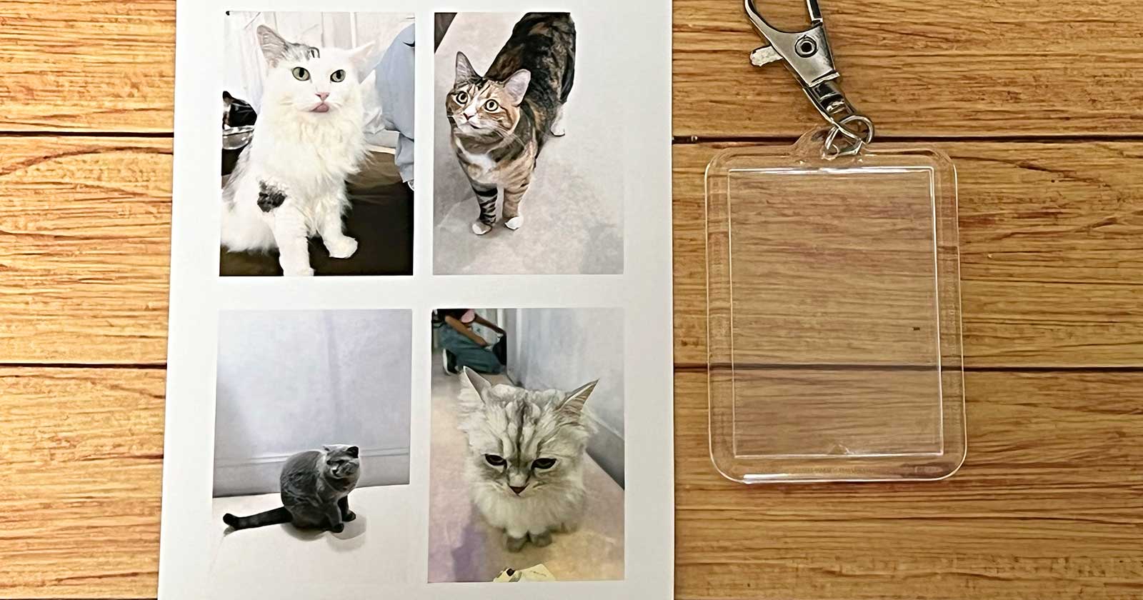 なぜ売切れ続出？100均フォトキーホルダー徹底比較！推し活自作のコツを解説