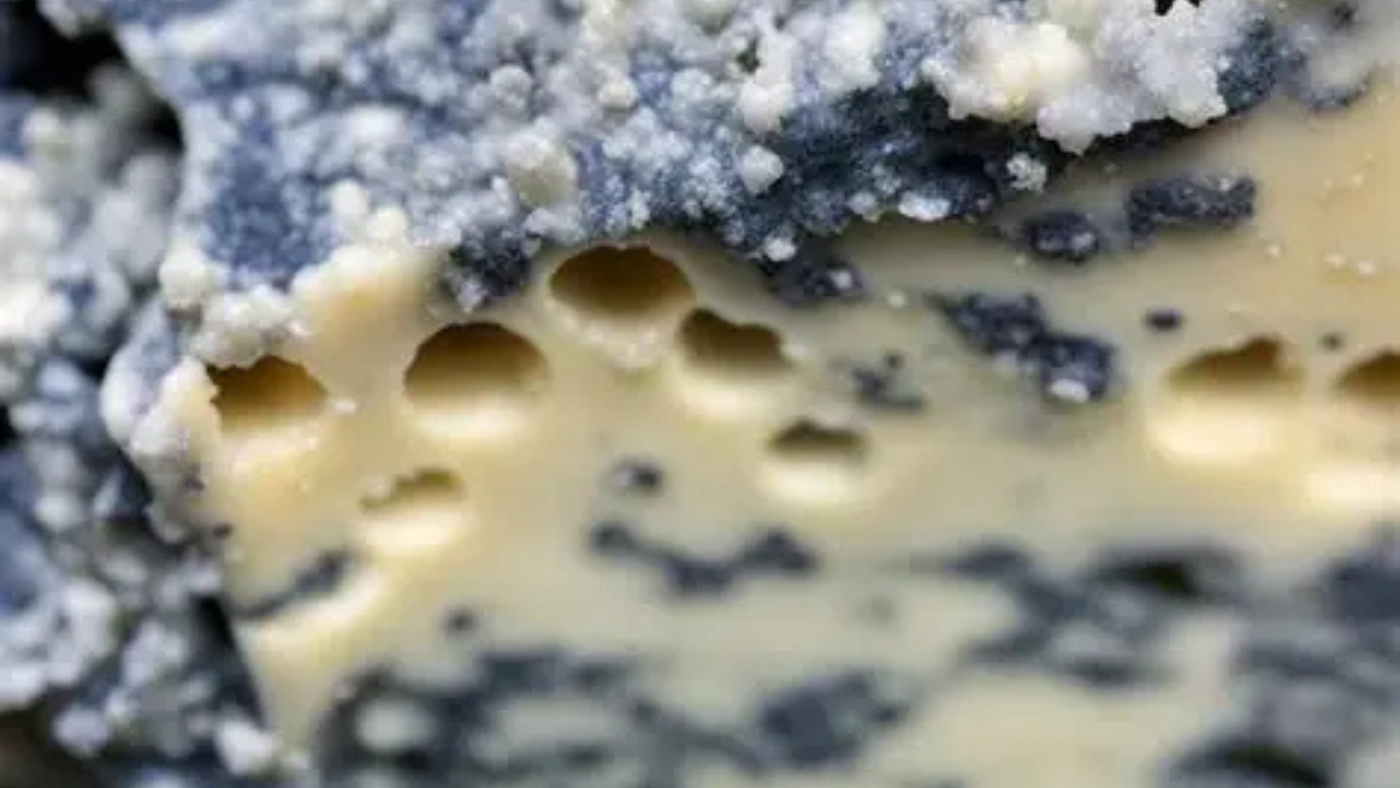 What Does Bad Cottage Cheese Look Like