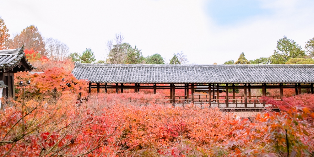 京都の「隠れた大動脈」は今どう変わったか？ 2026年の東福寺駅と周辺エリア再発見ルポ