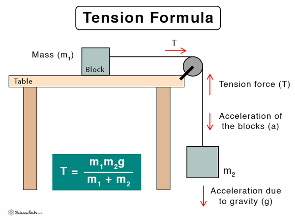 Magnitude of Tension Force