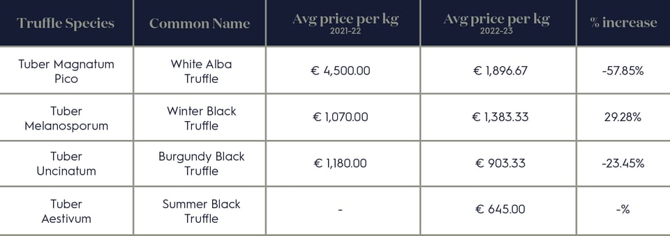 How Much Is a Truffle Worth