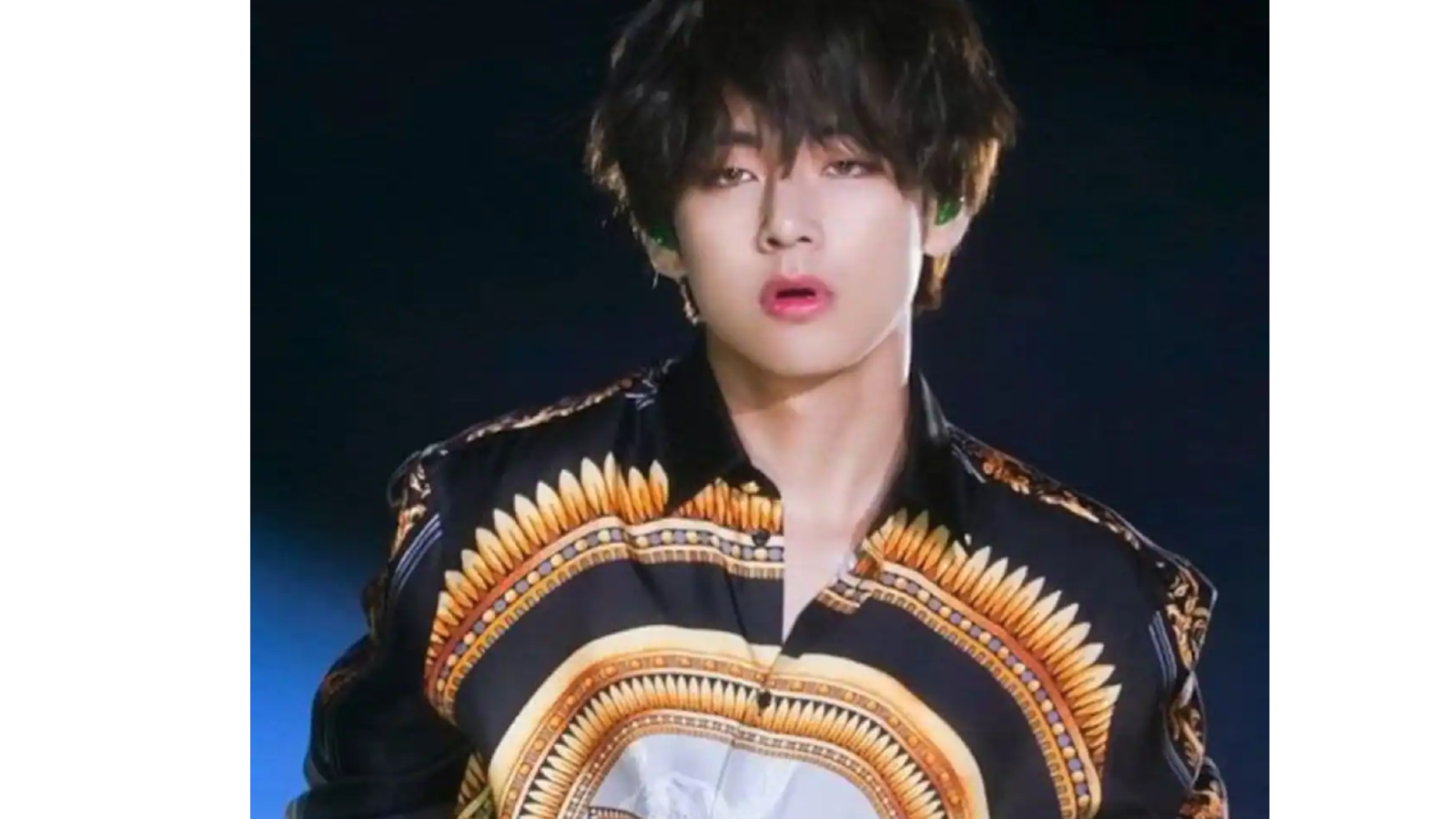 Is Bts v Gucci Model