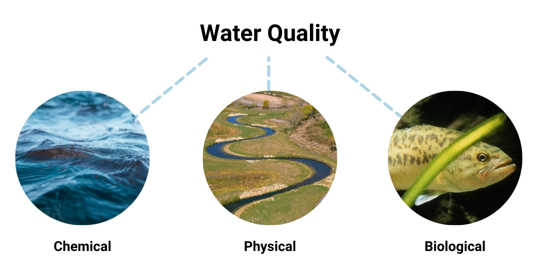 What Is Meant by Water Quality