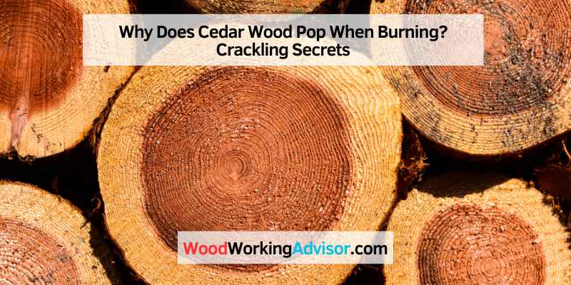 Why Does Wood Pop When It Burns