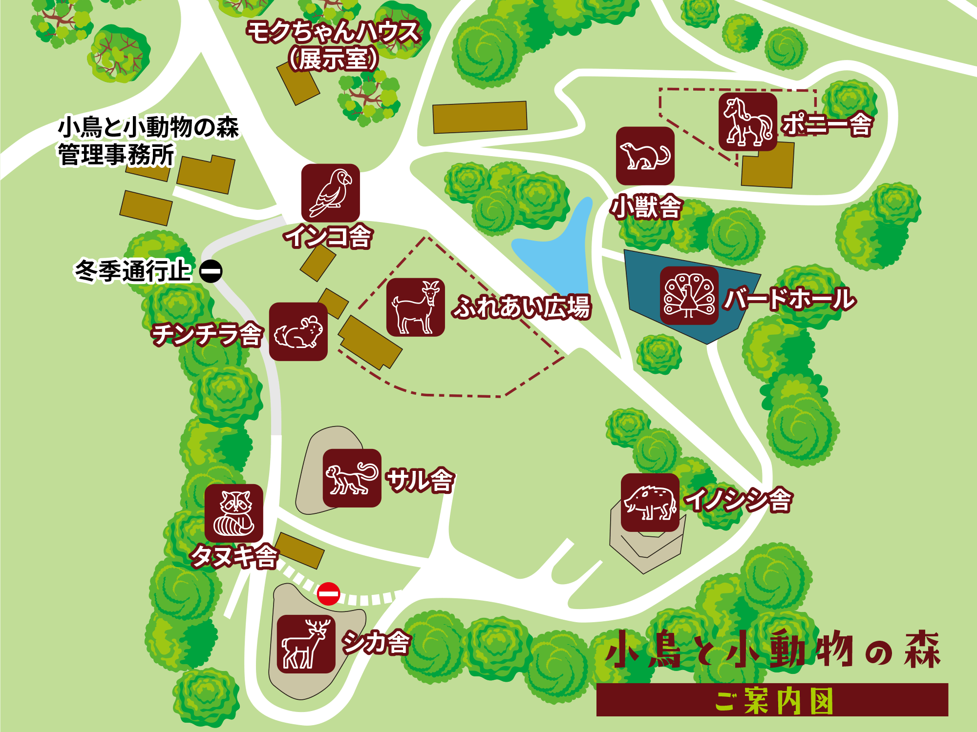 松本市「小鳥と小動物の森」無料の真相！2026最新見どころと混雑回避