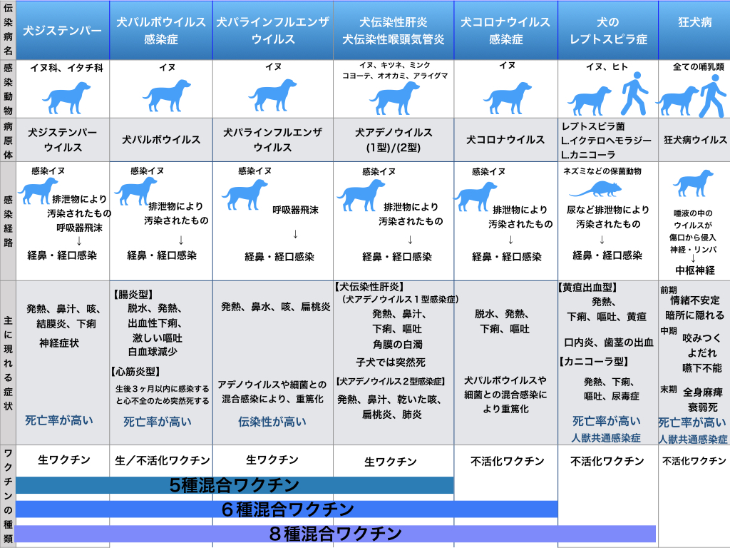 犬の混合ワクチン種類と選び方！多種＝安心ではない2026年の新常識