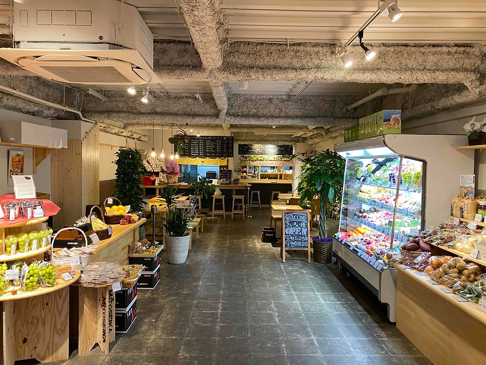 【2026年最新ルポ】消えた「街の野菜屋さん」がなぜ今空前の大ブーム？価格競争を超えた新世代の生存戦略