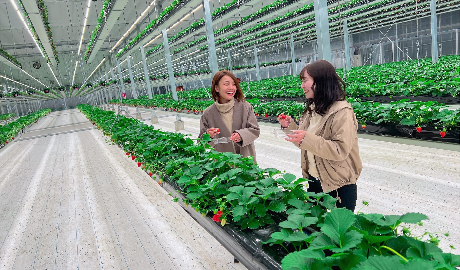 【2026年現地取材】門前仲町の参道で行列が絶えない理由。「モンズ カフェ」が提示する、下町伝統と本格エスプレッソの新たな共存
