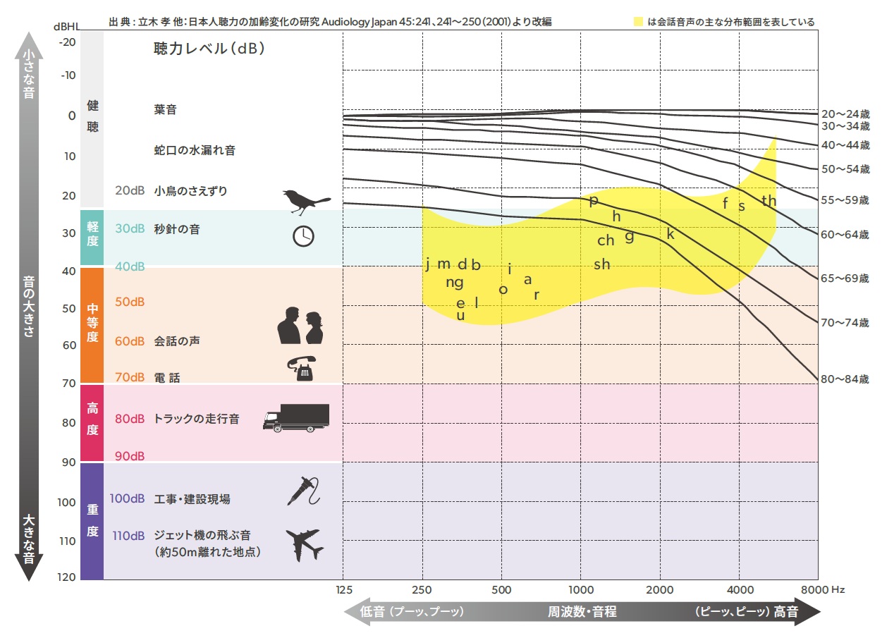 【2026年最新科学】衰えた聴力を呼び戻す？「耳のエイジングケア」新常識と今すぐできる習慣