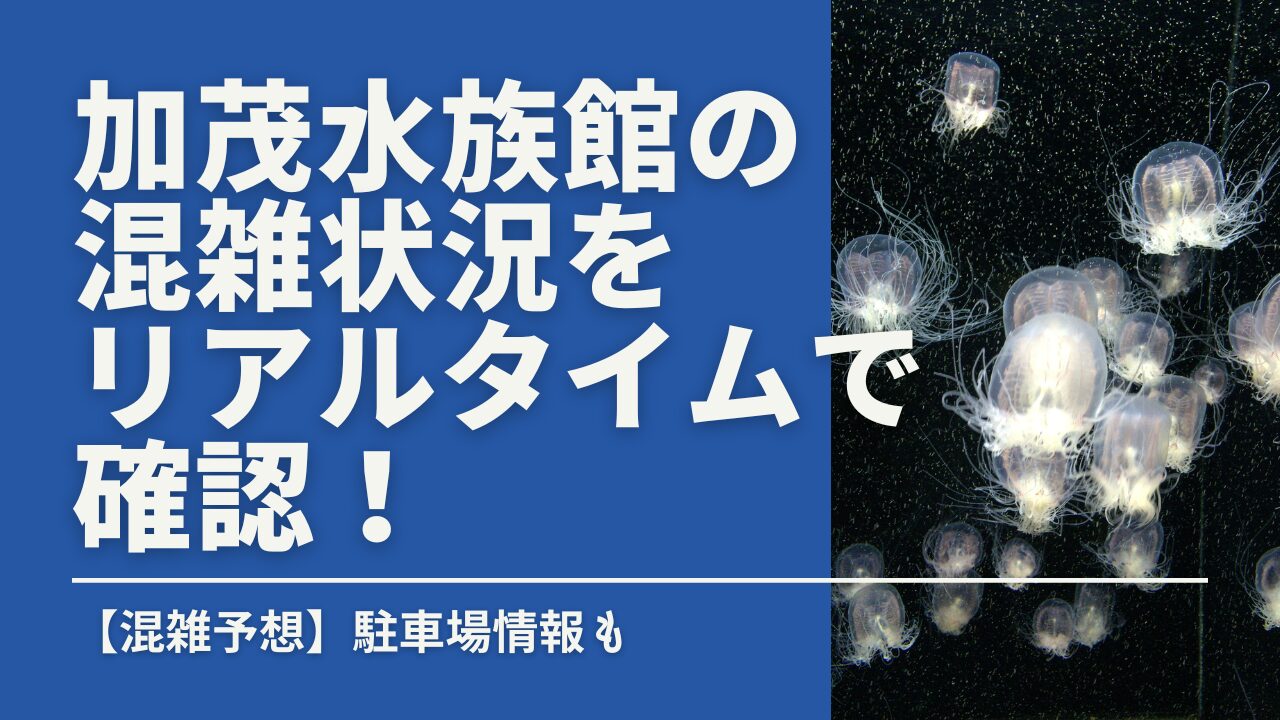 上越市立水族博物館うみがたり完全攻略｜2026年最新の混雑状況リアルタイム徹底解説