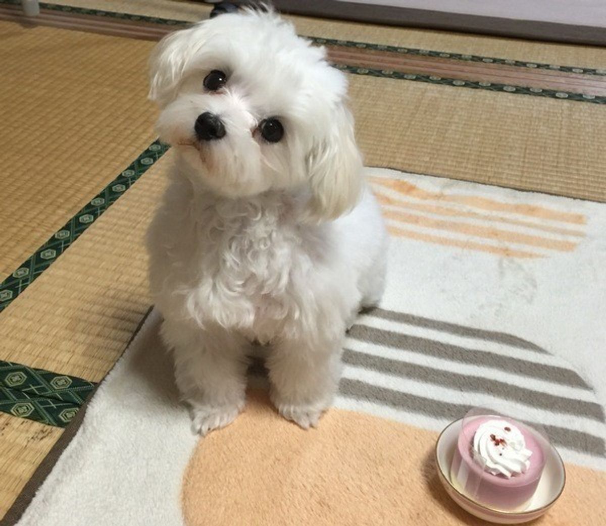 首をかしげるの意味と心理｜首をひねるの違いやビジネス敬語まで徹底解説