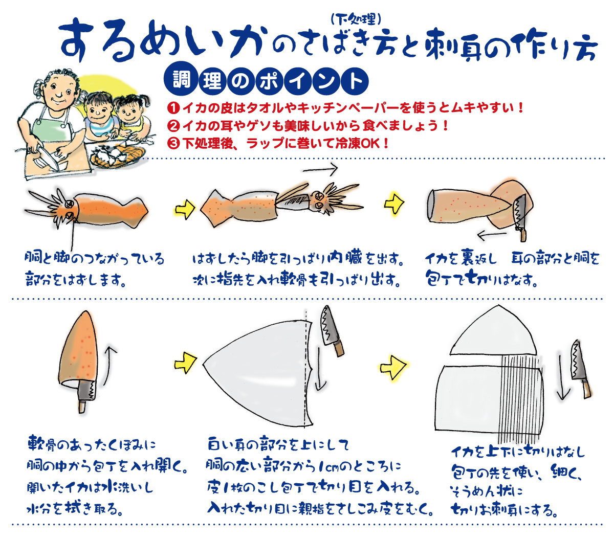 イカの捌き方完全ガイド！墨袋を破らず一瞬で抜くプロの極意と安全対策