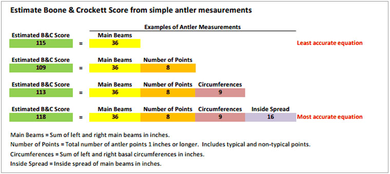 Boone and Crockett Minimums