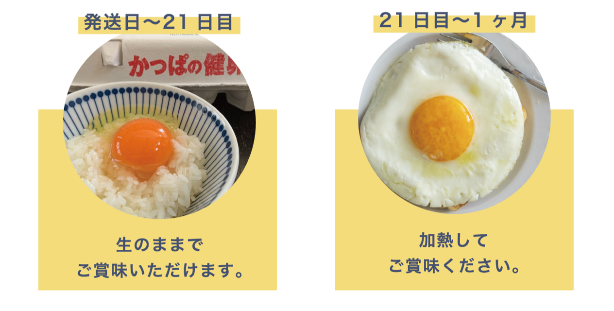 卵の賞味期限切れはいつまで食べられる？加熱日数と腐敗の見分け方