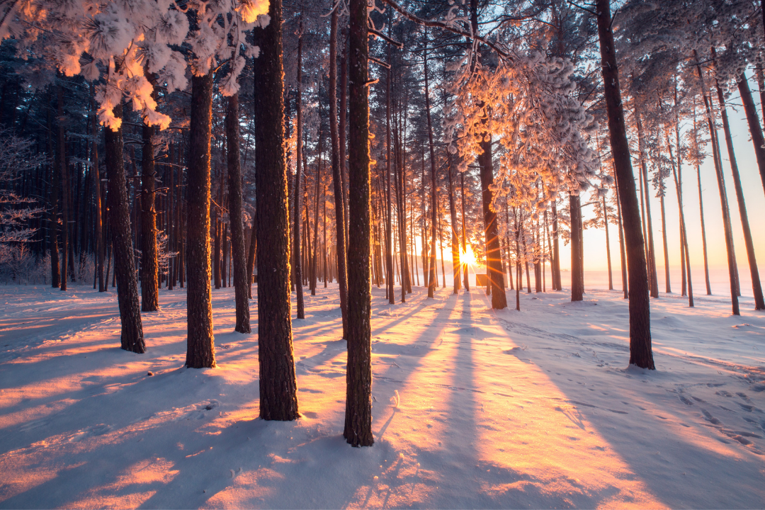 Why Winter Season Is Best