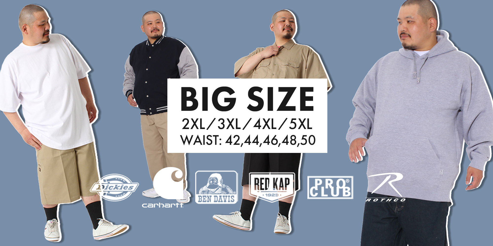 2026年大きいサイズ服の新常識！着痩せ通販＆人気ブランド徹底検証