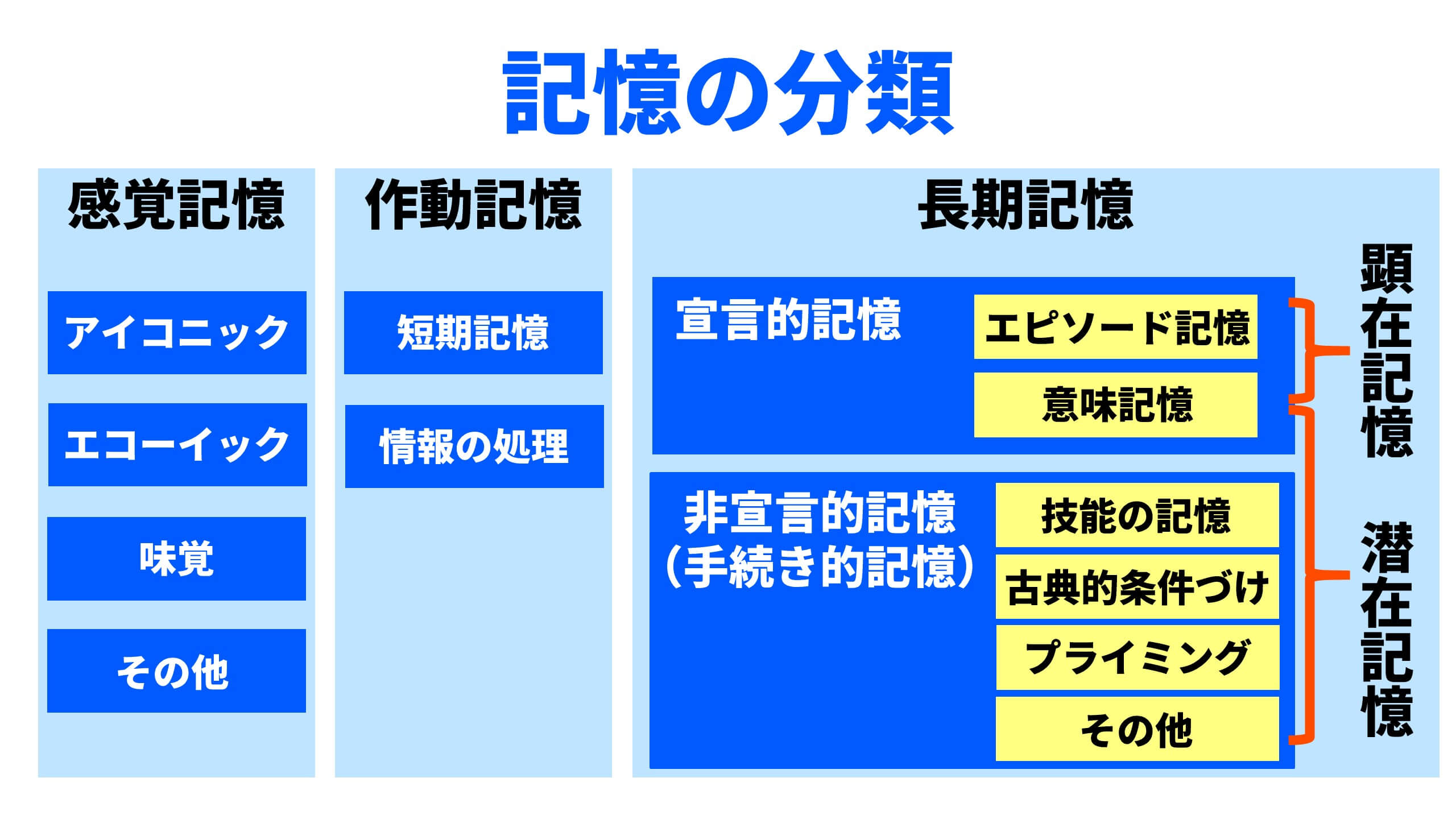 数秒で消えるのはなぜ？短期記憶の仕組みと脳科学が明かす鍛え方の真実