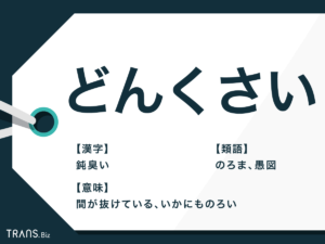 【徹底調査】 どん くさい と は 最新画像・動画まとめ #877