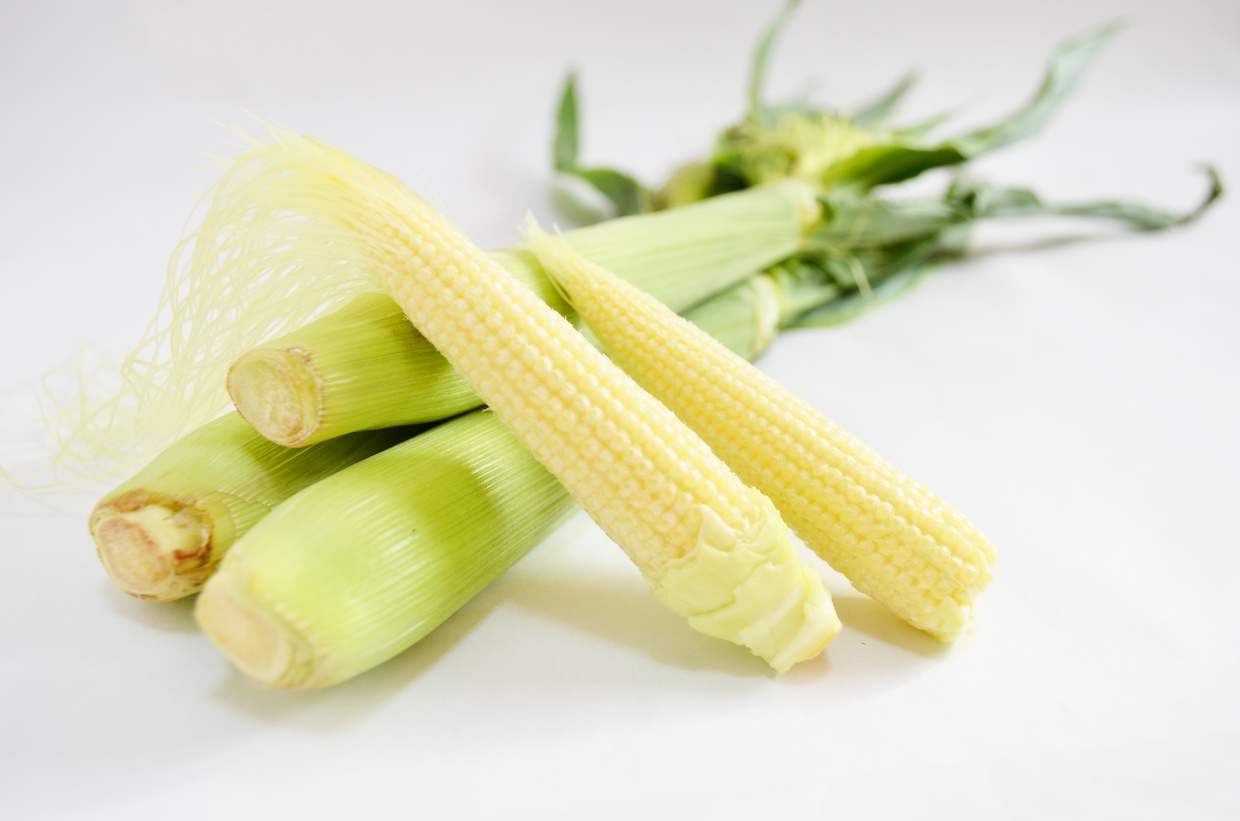 ヤングコーンとは何の野菜？意外な正体と旬の食べ方をプロが徹底解説