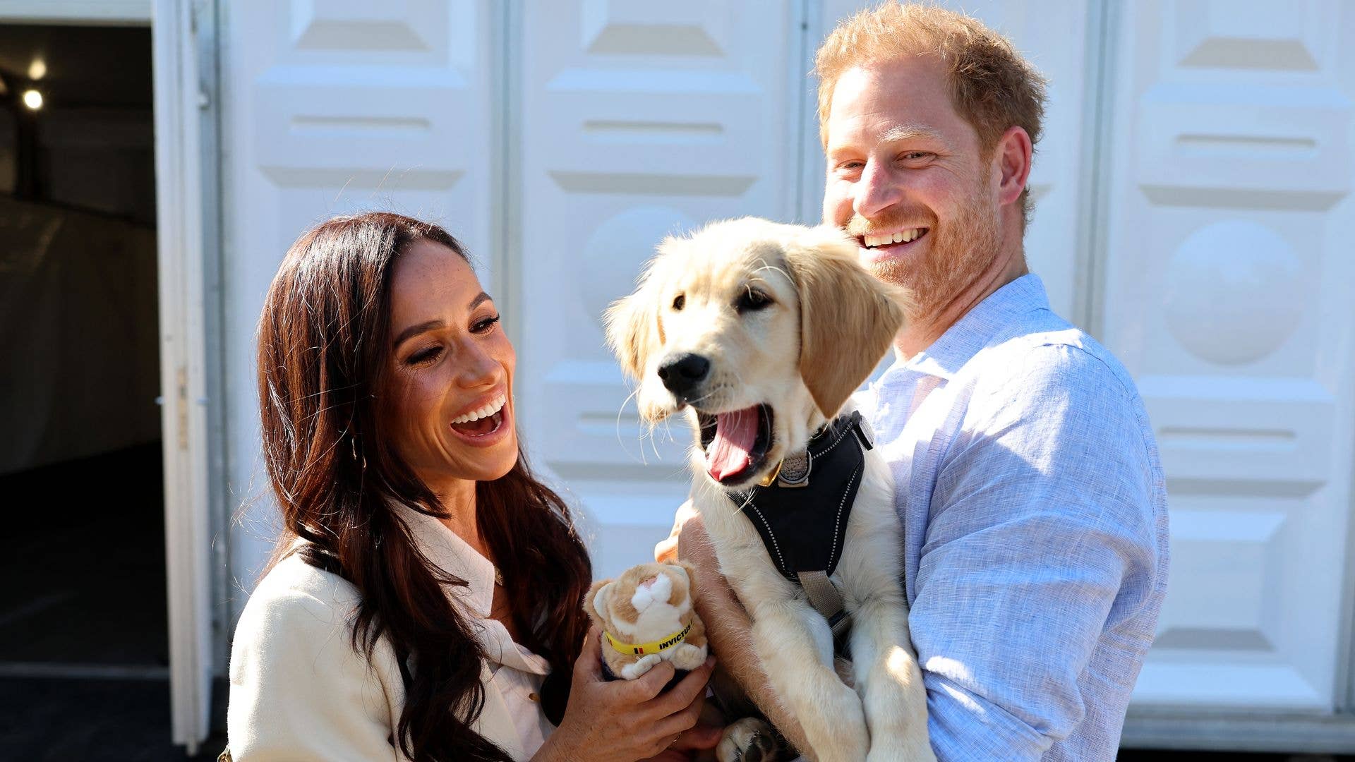 Meghan Markle and Prince Harry’s Pets: Dogs Join Uk Move, Chickens Remain