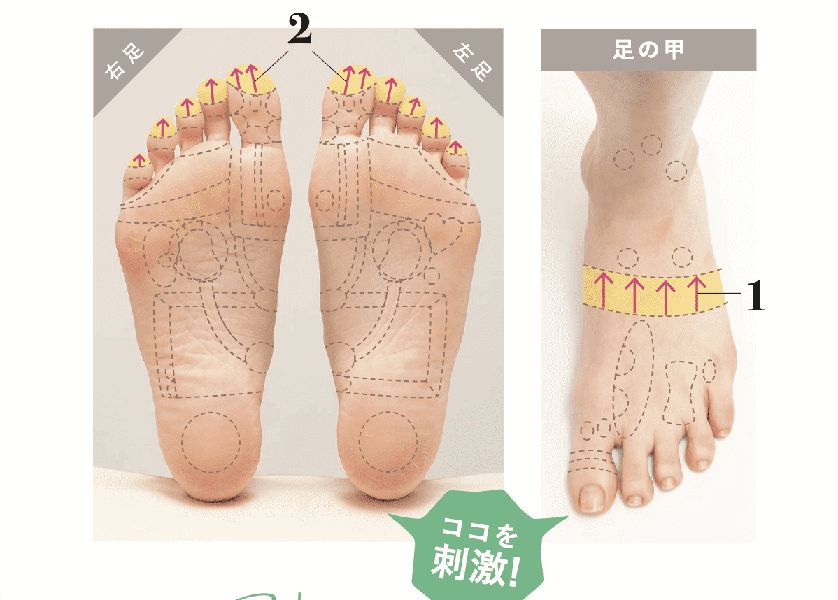 足の裏の皺が多い原因とは？乾燥・脱水から病気サインまで徹底解説