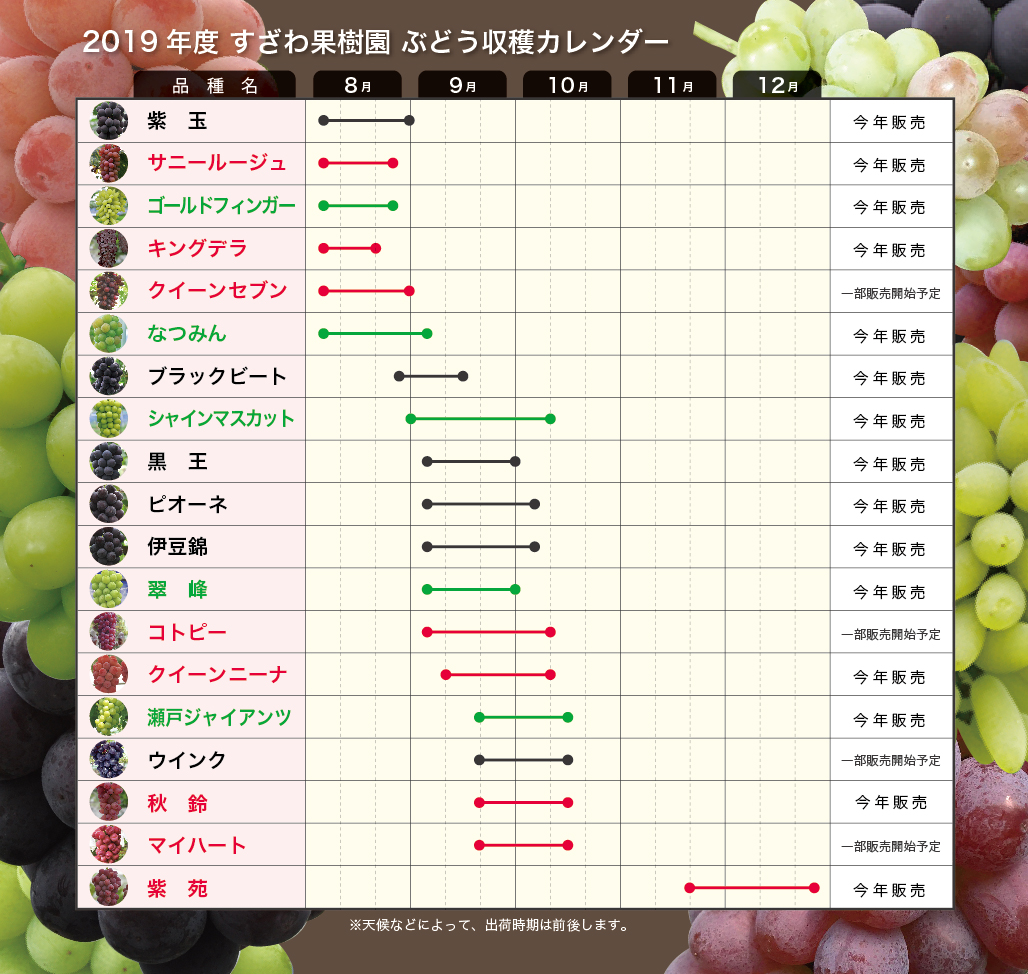 すざわ果樹園の評判は？予約殺到の真相とシャインマスカットの購入術