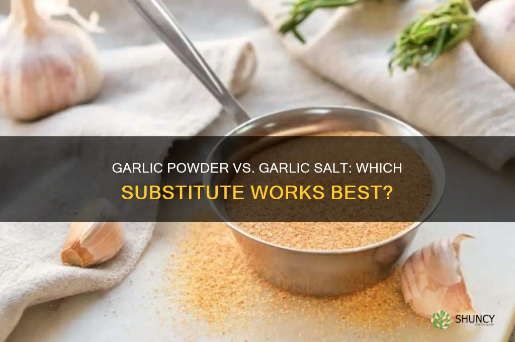 Can I Substitute Garlic Powder for Garlic Salt