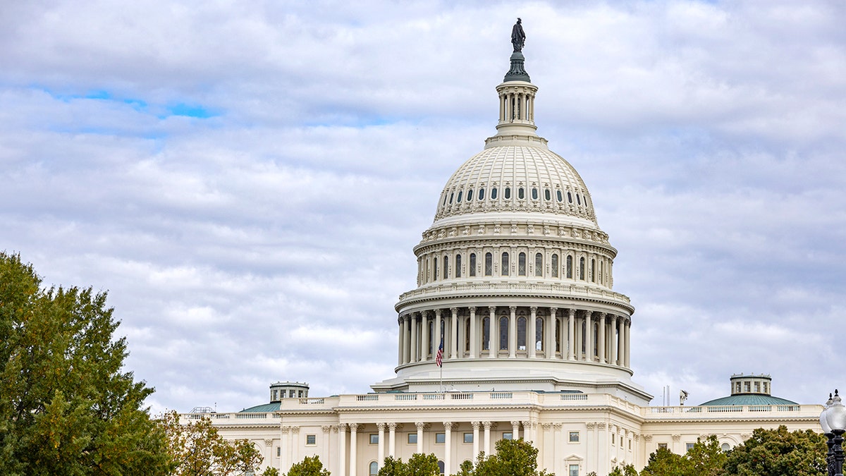 The Capitol Dc Bag Policies
