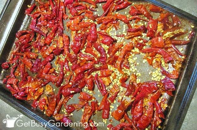 Oven Drying Cayenne Peppers