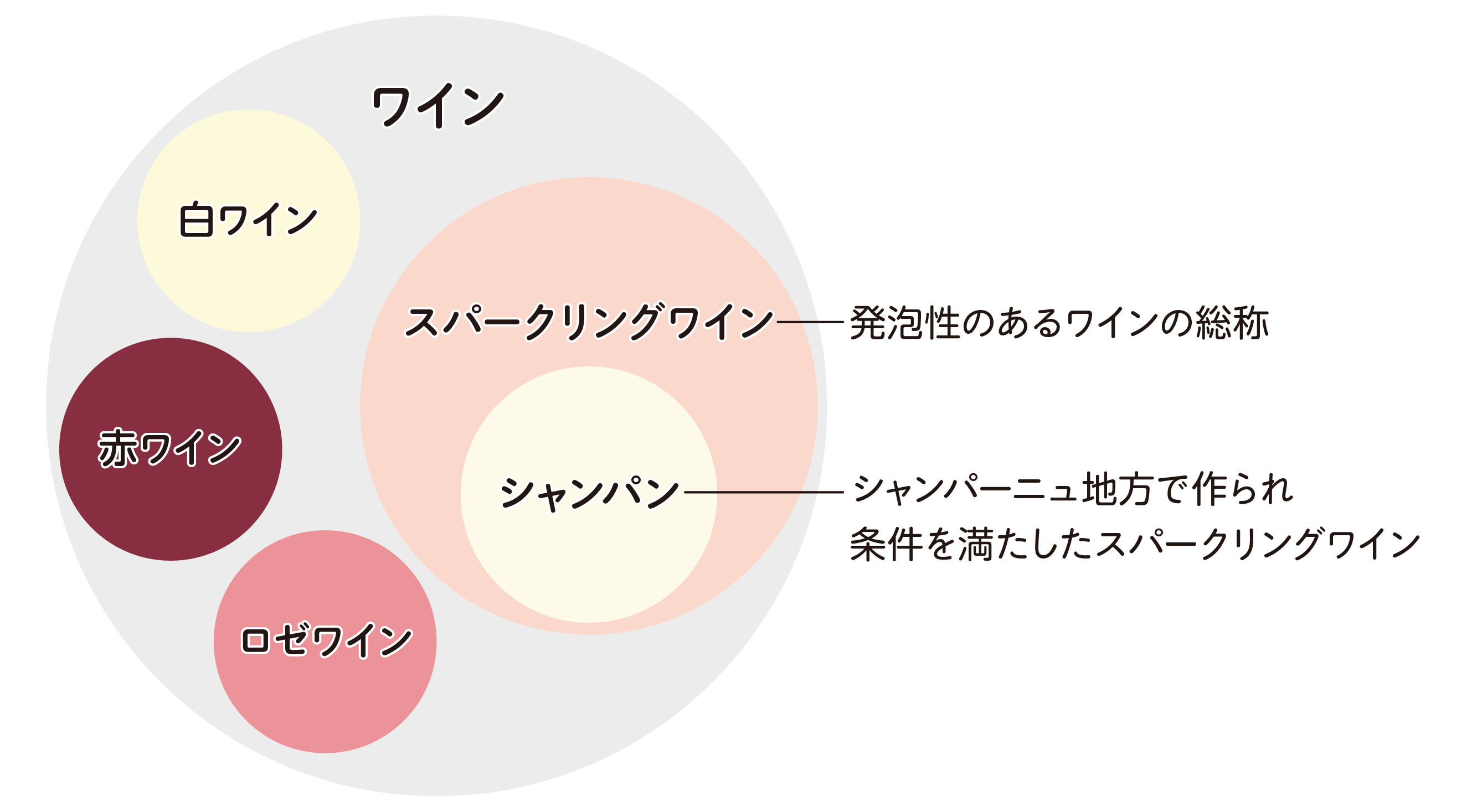 【実は別物】スパークリングワインとシャンパンの決定的な違いと2026年最新の選び方