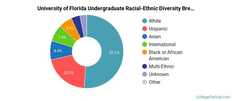 University of Florida Racial Demographics